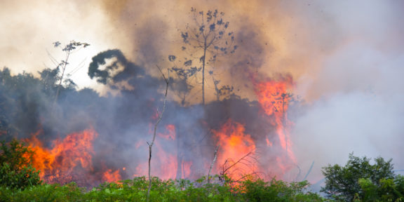 Deforestation Amazon Brazil
