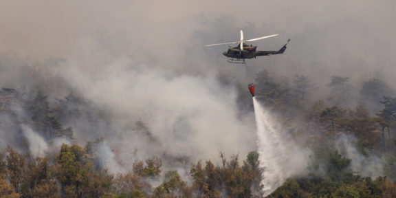 Deforestation Amazon Forest Fires