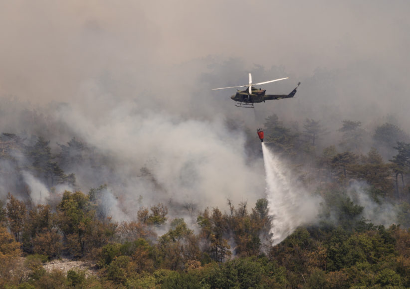 Deforestation Amazon Forest Fires