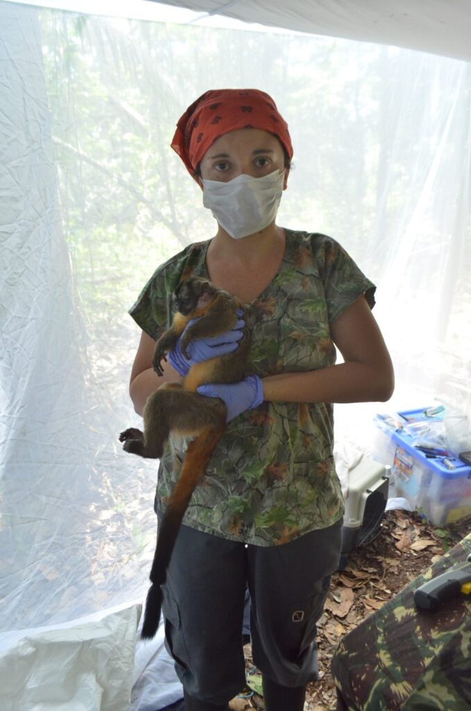 Angela Maldonado of the NGO Entropika holds a night monkey