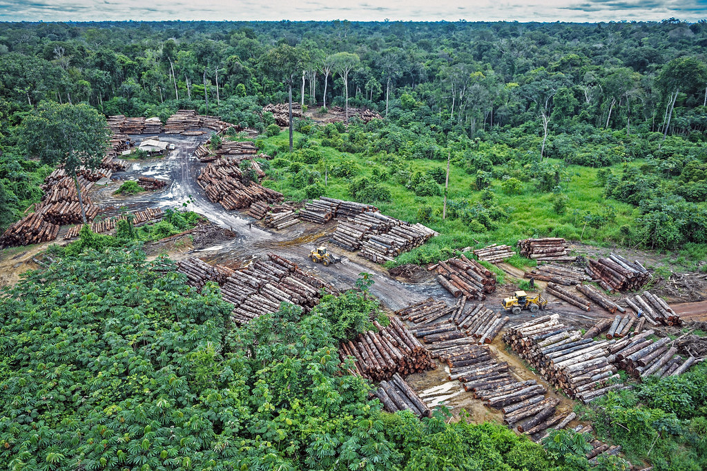 94% of deforestation in Brazilian Amazon is illegal as government remains absent