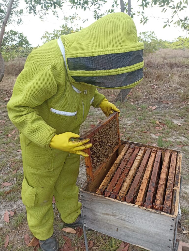 Sweet rewards: Reduced risks in beekeeping help farmers in Colombia