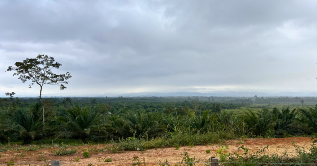 At least seven killed on Sunday in renewed clashes in Colombia’s Catatumbo region