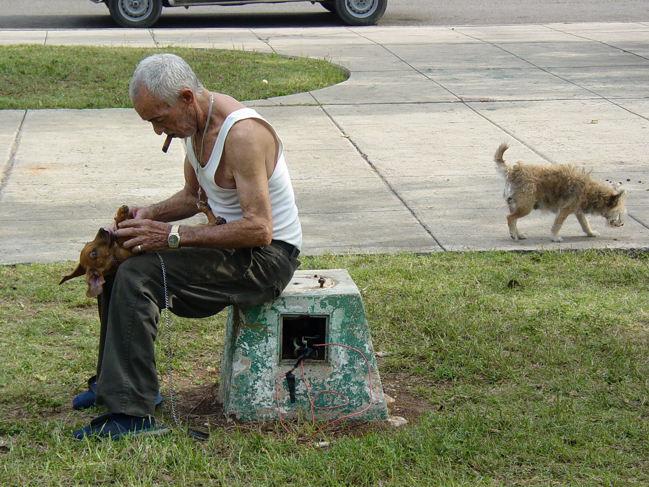 Featured Image Credit: https://upload.wikimedia.org/wikipedia/commons/9/9f/Man_with_Dogs_in_John_Lennon_Park_-_El_Vedado_-_Havana_-_Cuba_%283793618203%29.jpg